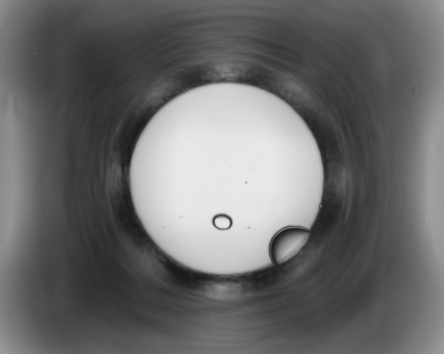 X0000084040220200703092038