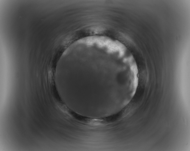 X0000084040222200703092038