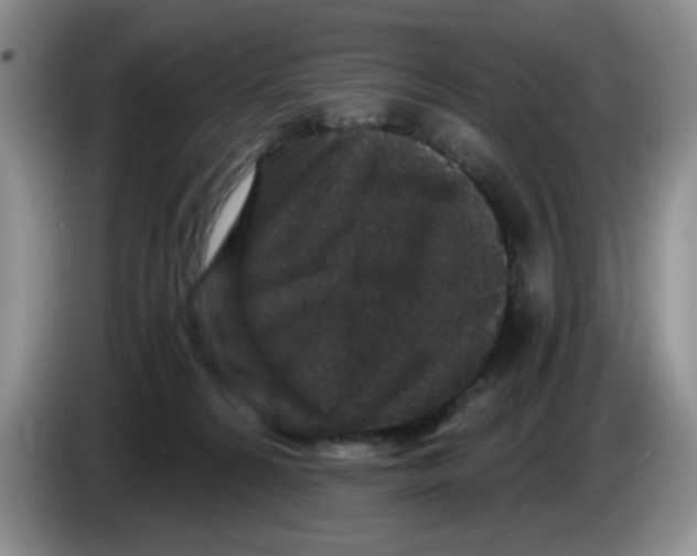 X0000084040224200703092038