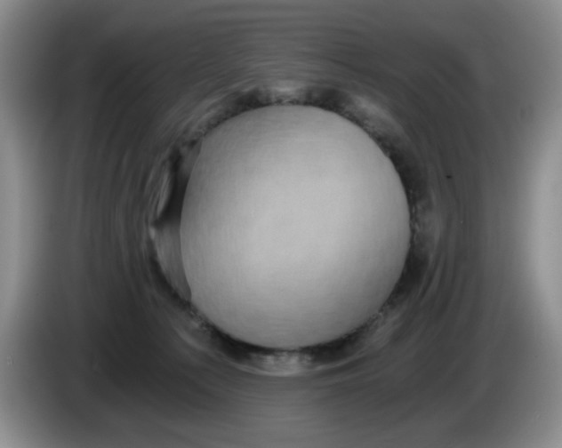 X0000084040225200703092038