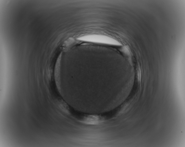 X0000084040227200703092038