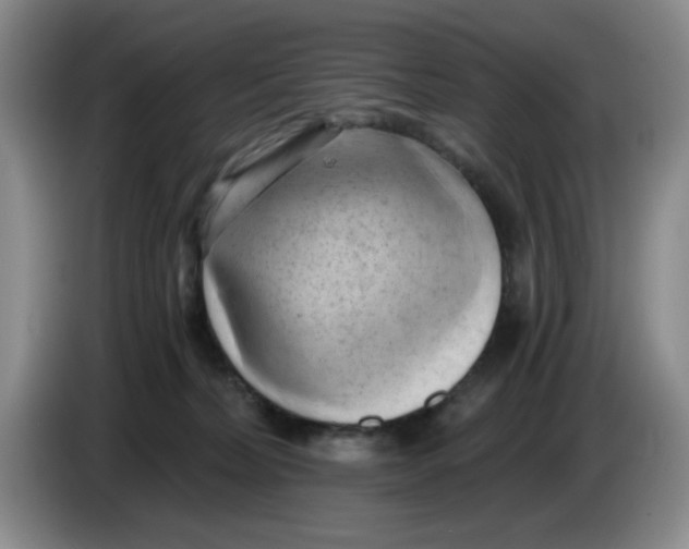 X0000084040228200703092038