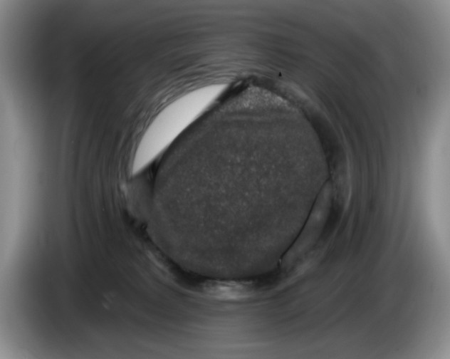 X0000084040229200703092038