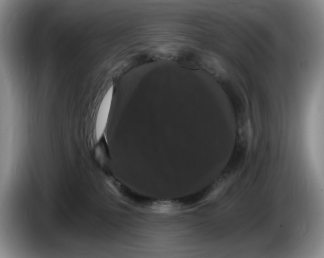 X0000084040231200703092038