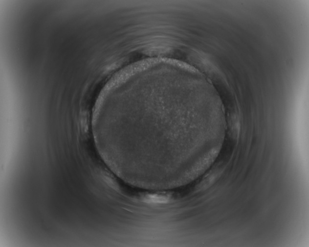 X0000084040232200703092038