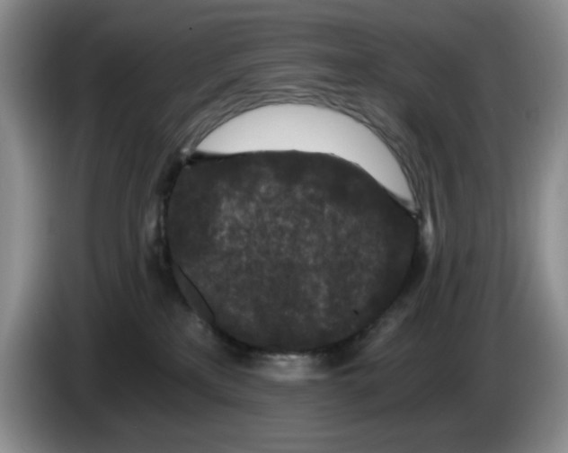 X0000084040233200703092038