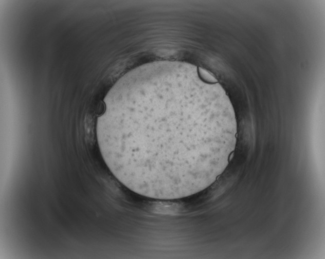 X0000084040234200703092038