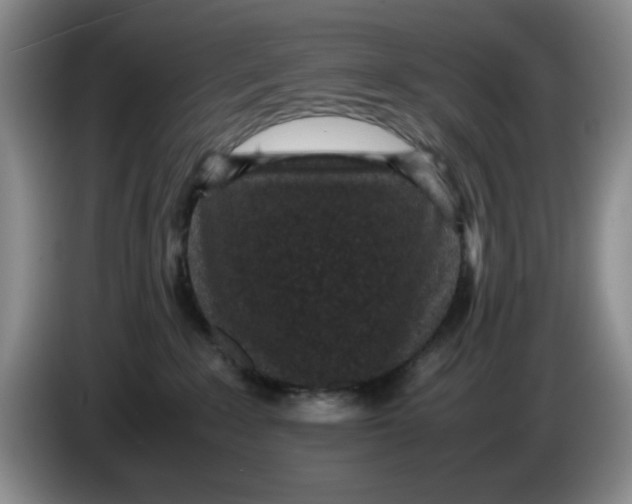 X0000084040235200703092038