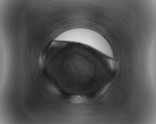 X0000084040239200703092038