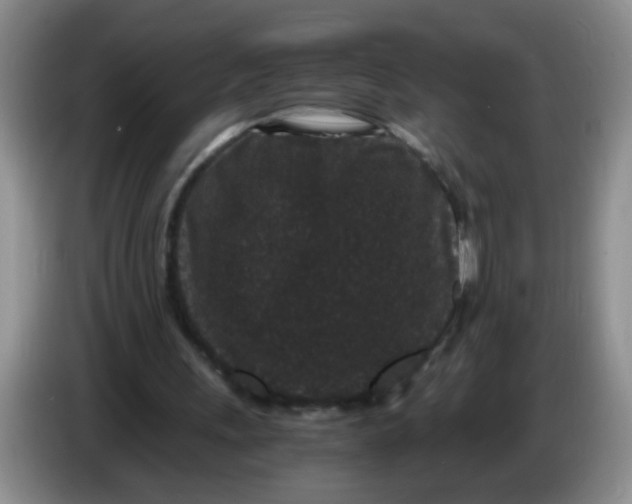 X0000084040243200703092037