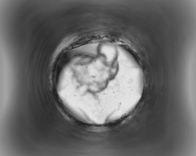 X0000084040245200703092037