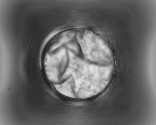 X0000084040246200703092037