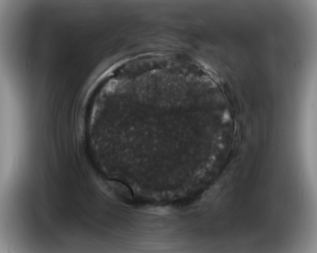 X0000084040247200703092037