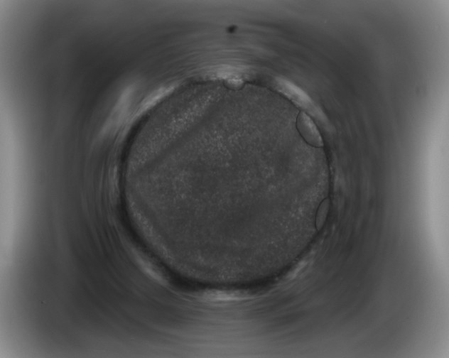 X0000084040250200703092037