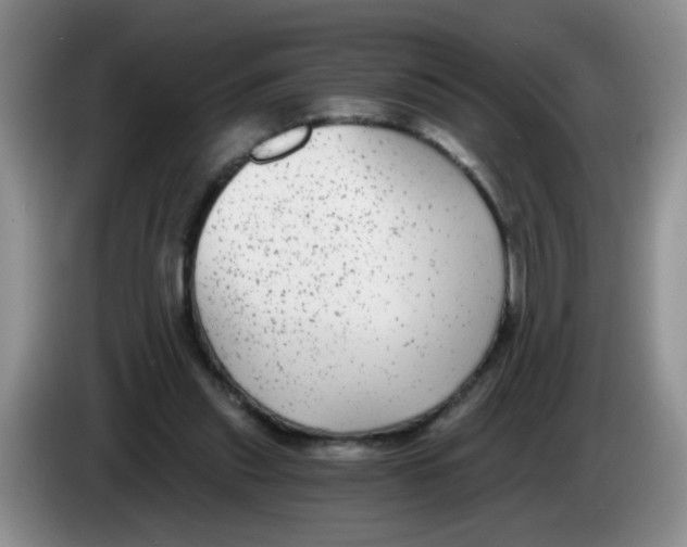 X0000084040253200703092037