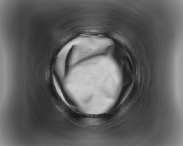 X0000084040255200703092037