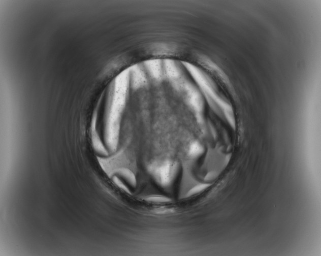 X0000084040257200703092037