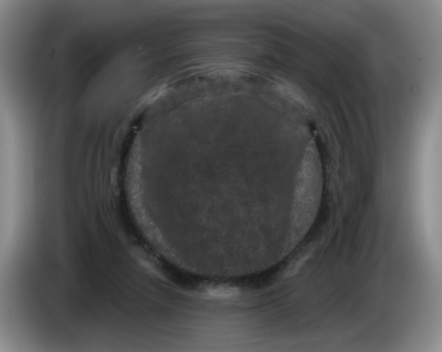 X0000084040258200703092037