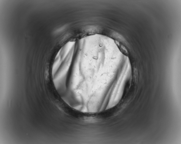 X0000084040259200703092037