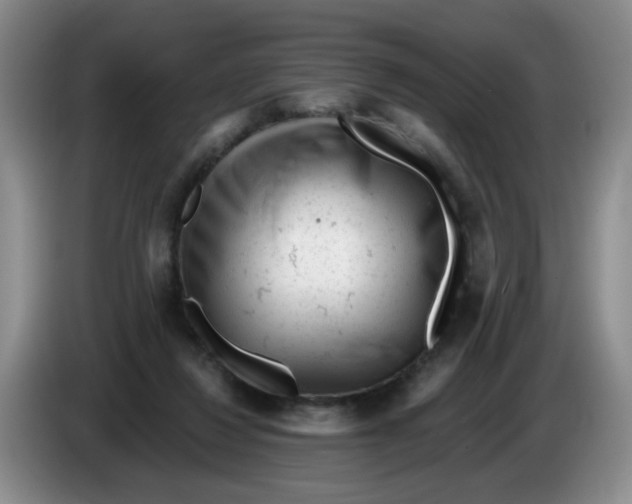 X0000084040260200703092037