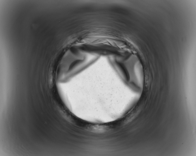 X0000084040261200703092037