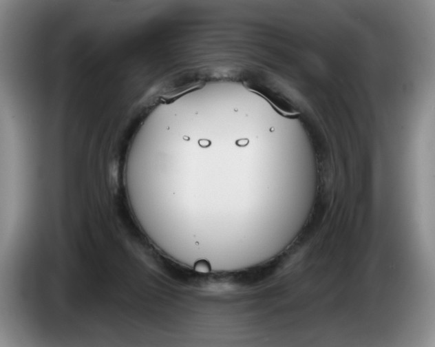 X0000084040262200703092037