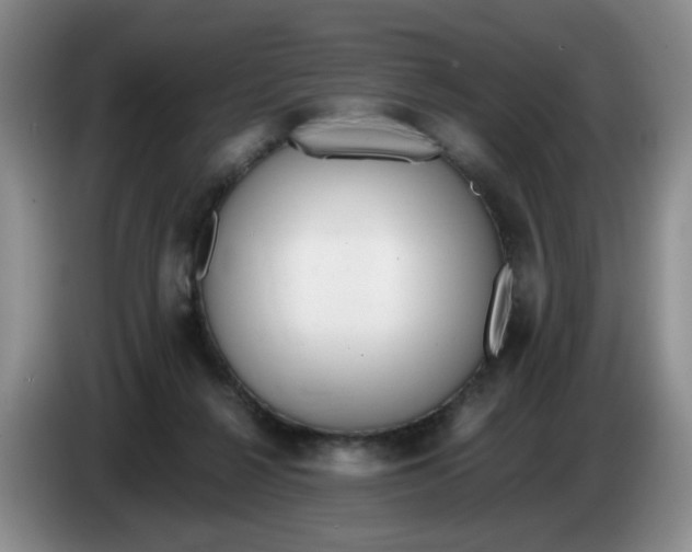 X0000084040264200703092037