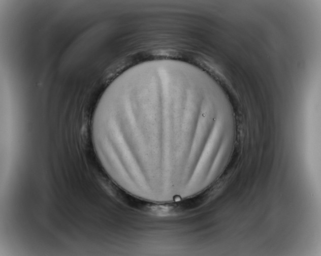 X0000084040265200703092037