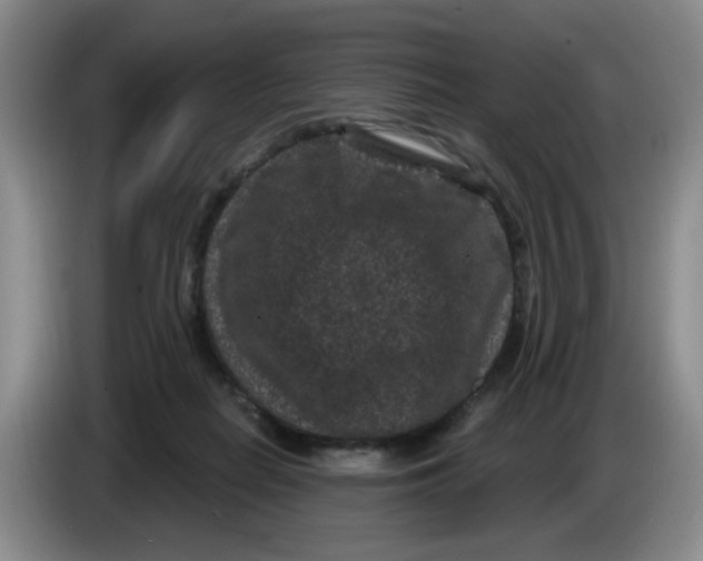 X0000084040266200703092037