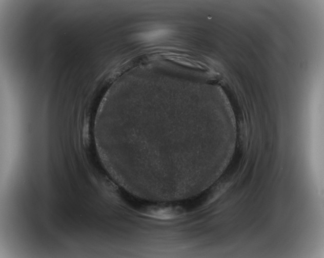 X0000084040267200703092037