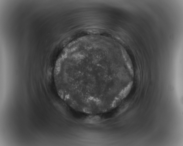 X0000084040271200703092038