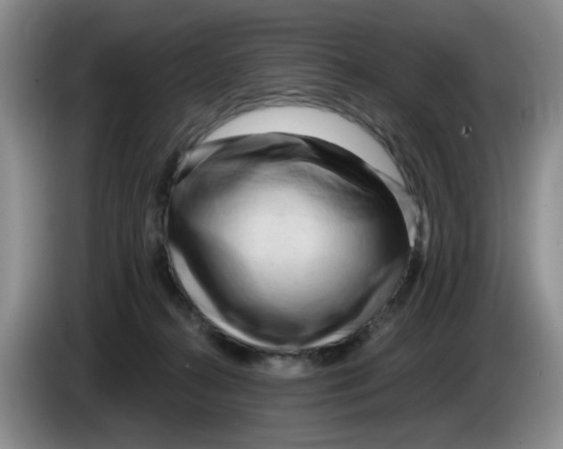 X0000084040272200703092038