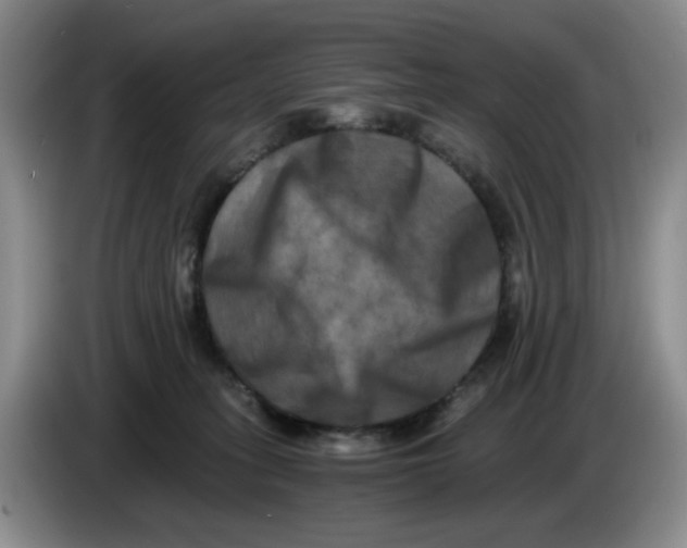 X0000084040275200703092038