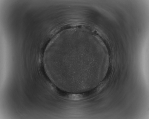 X0000084040277200703092038