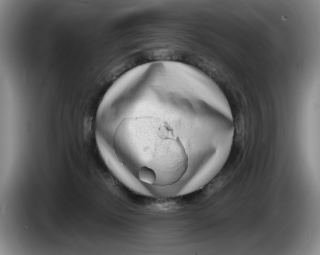 X0000084040278200703092038