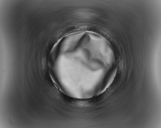 X0000084040283200703092038