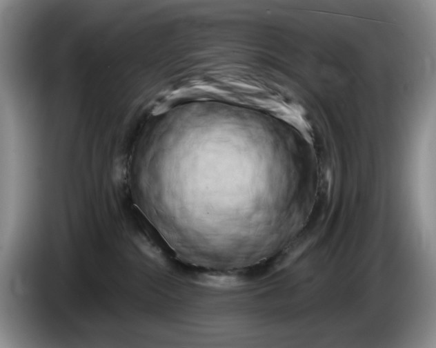 X0000084040284200703092038