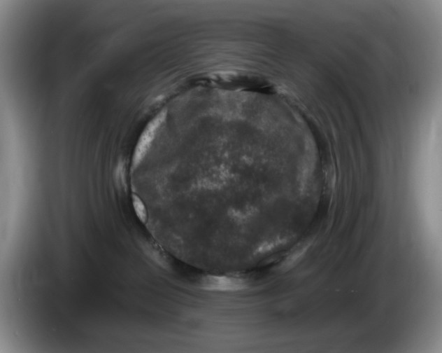 X0000084040286200703092038