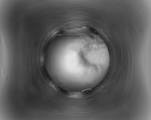 X0000084040288200703092038