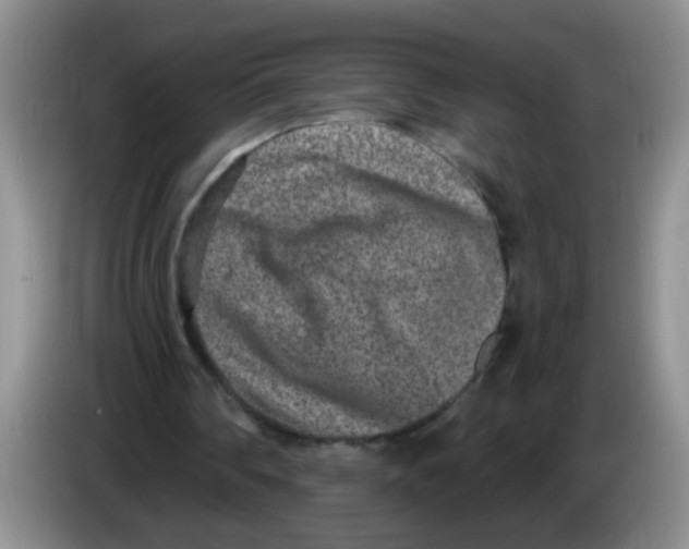 X0000084040290200703092037