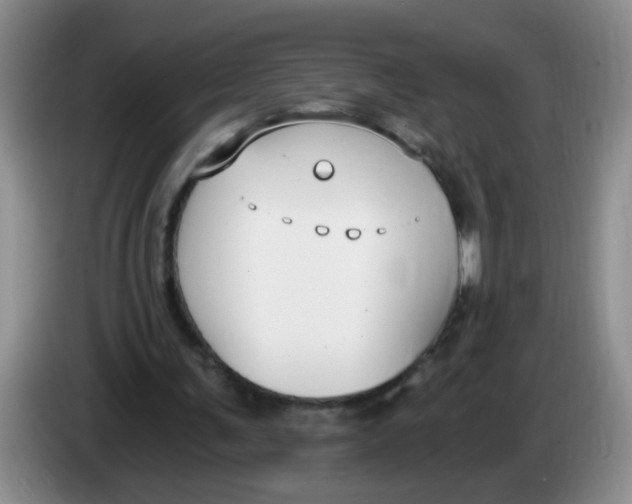 X0000084040291200703092037