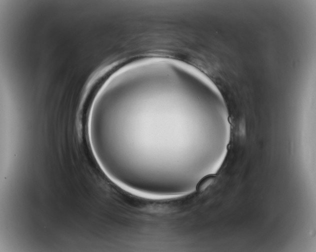 X0000084040294200703092037