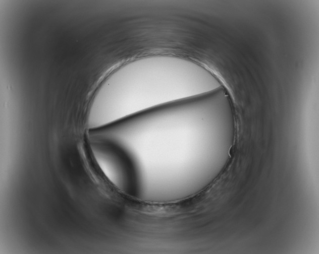 X0000084040297200703092037