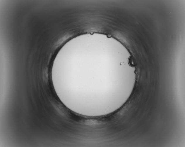 X0000084040298200703092037