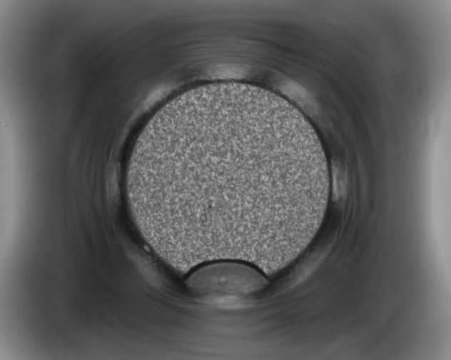 X0000084040300200703092037