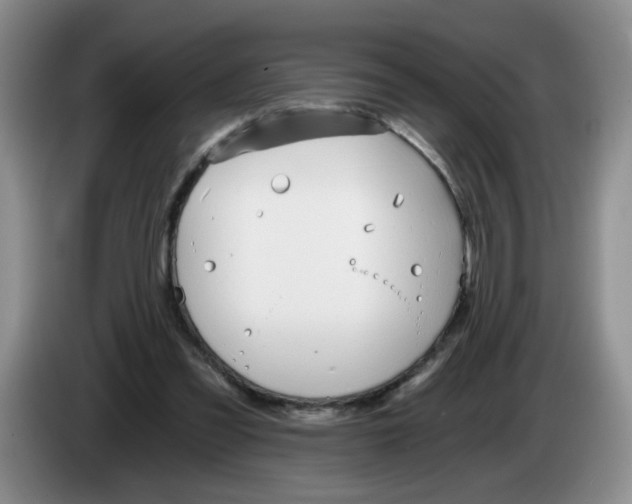 X0000084040301200703092037