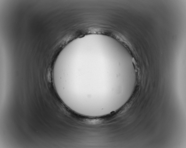 X0000084040313200703092037