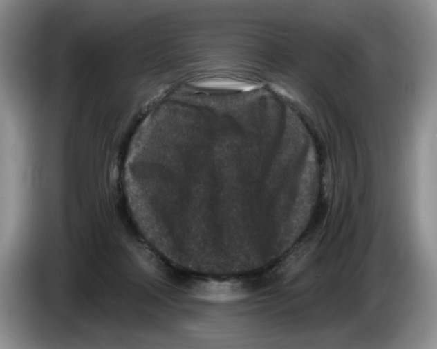 X0000084040314200703092037