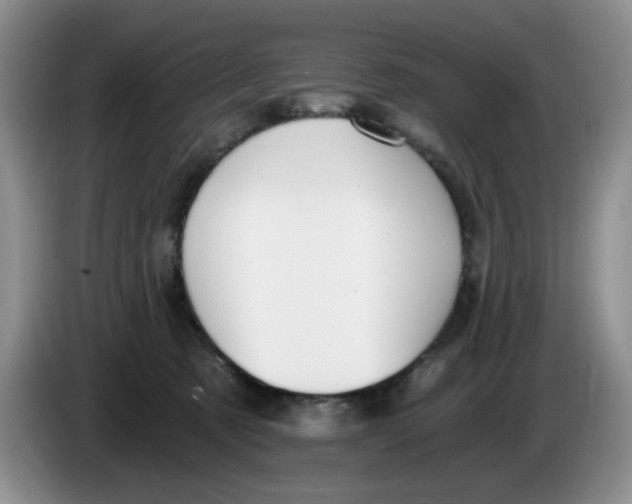 X0000084040321200703092037