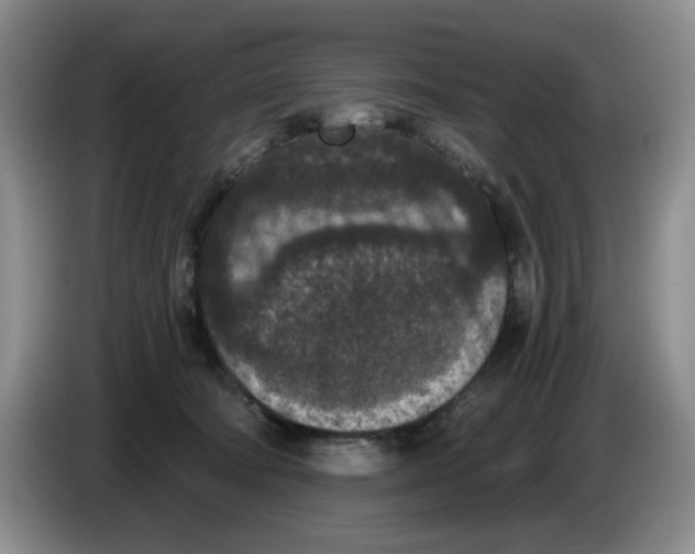 X0000084040322200703092037